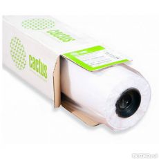 Холст Cactus CS-MC400-106715