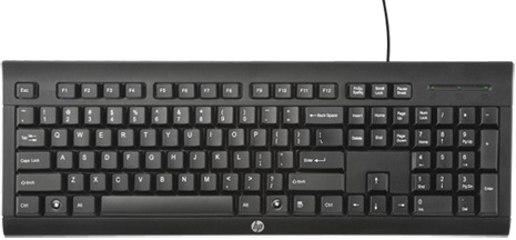 Клавиатура проводная HP K1500 черный USB